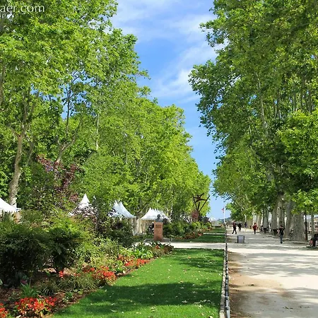 Yam * Montpellier